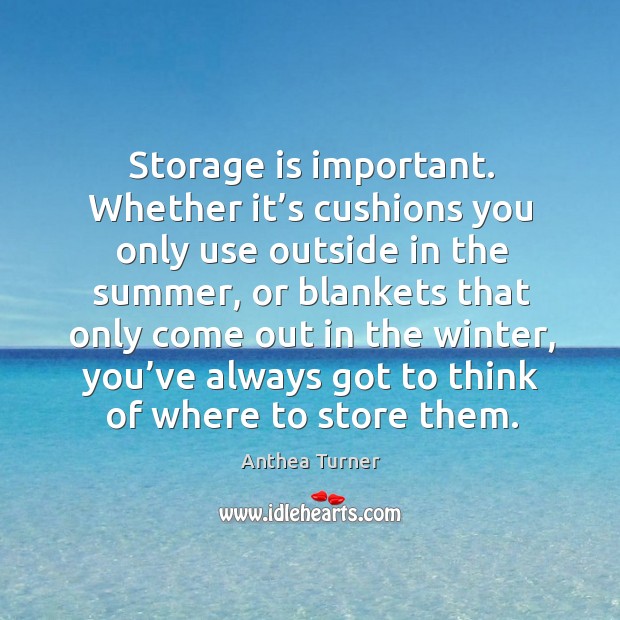 Storage is important. Whether it’s cushions you only use outside in the summer Anthea Turner Picture Quote