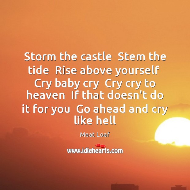 Storm the castle  Stem the tide  Rise above yourself  Cry baby cry Meat Loaf Picture Quote