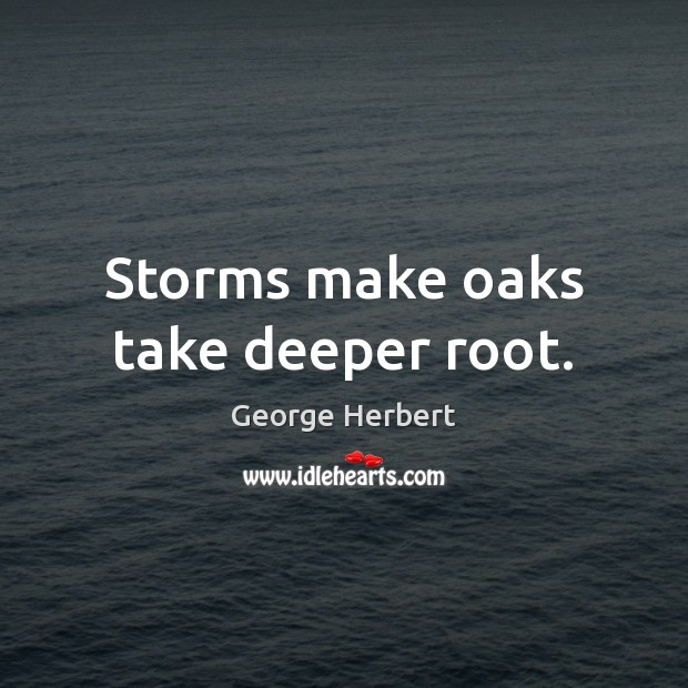 Storms make oaks take deeper root. Image