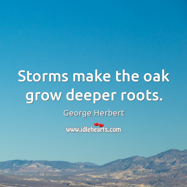 Storms make the oak grow deeper roots. George Herbert Picture Quote