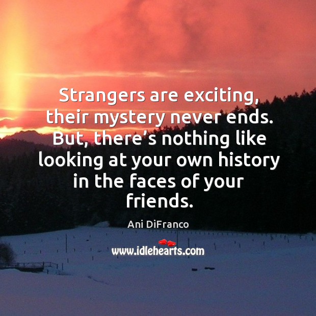 Strangers are exciting, their mystery never ends. Ani DiFranco Picture Quote