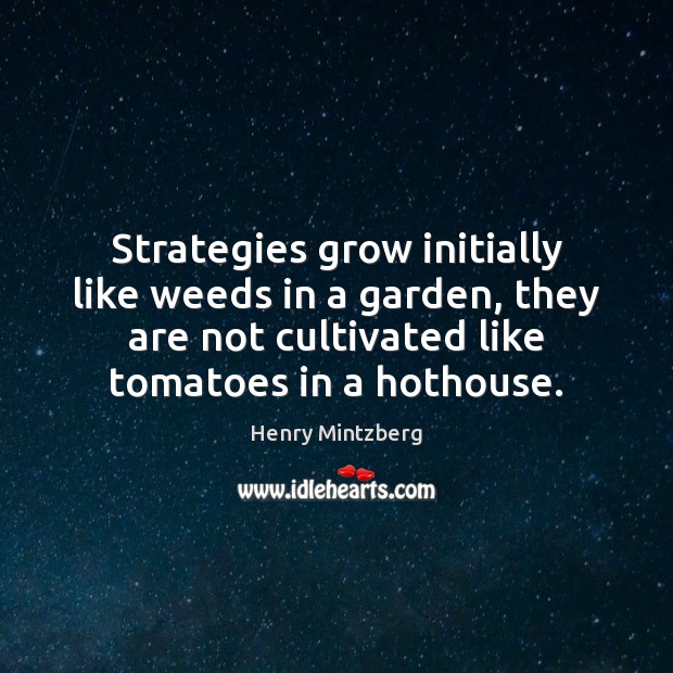 Strategies grow initially like weeds in a garden, they are not cultivated Henry Mintzberg Picture Quote