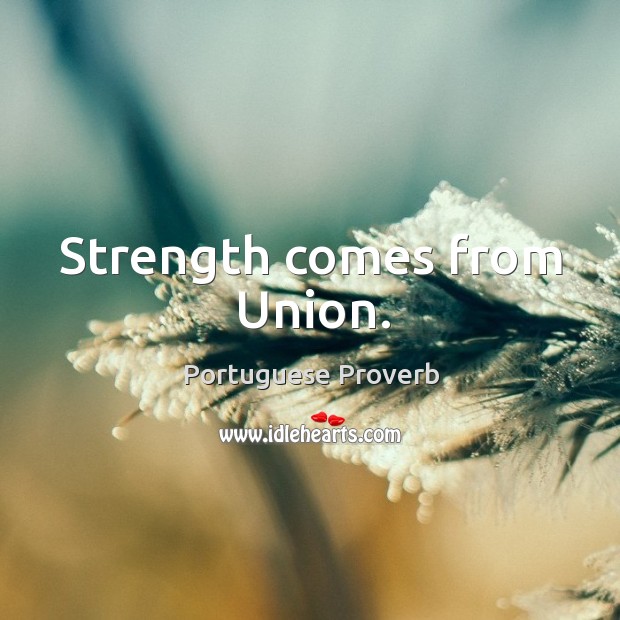 Strength comes from union. Portuguese Proverbs Image