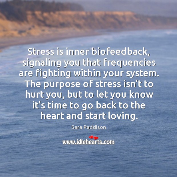 Stress is inner biofeedback, signaling you that frequencies are fighting within your system. Sara Paddison Picture Quote