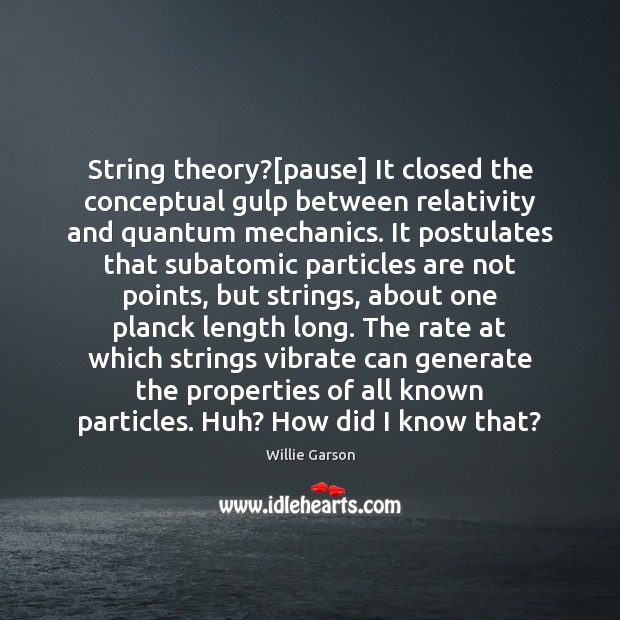 String theory?[pause] It closed the conceptual gulp between relativity and quantum Willie Garson Picture Quote