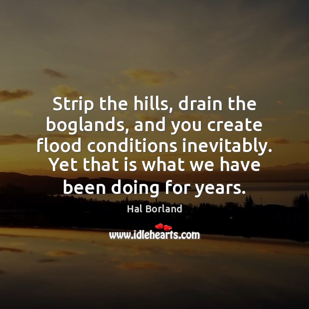 Strip the hills, drain the boglands, and you create flood conditions inevitably. Hal Borland Picture Quote