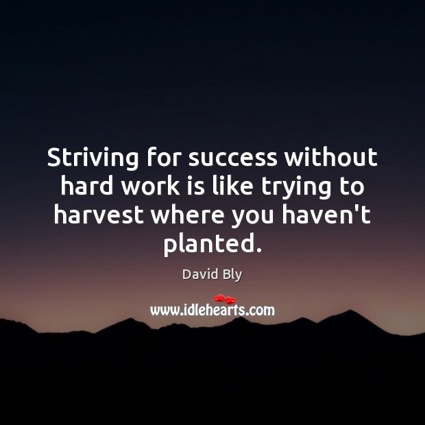Striving for success without hard work is like trying to harvest where David Bly Picture Quote