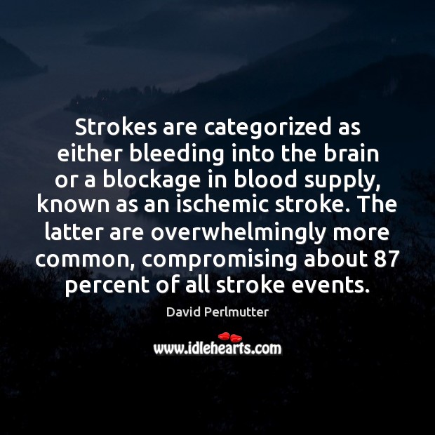 Strokes are categorized as either bleeding into the brain or a blockage David Perlmutter Picture Quote