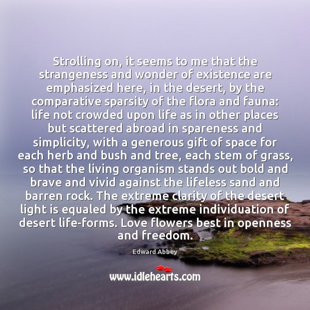 Strolling on, it seems to me that the strangeness and wonder of Edward Abbey Picture Quote