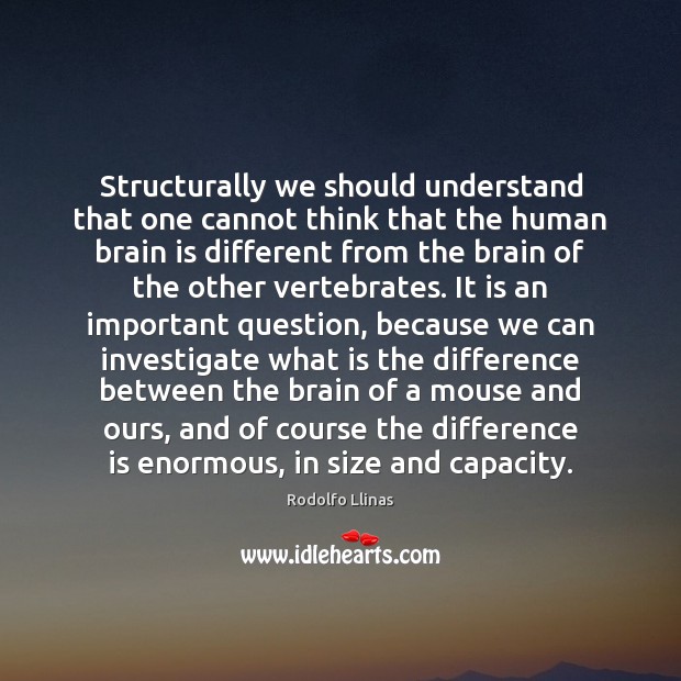 Structurally we should understand that one cannot think that the human brain Rodolfo Llinas Picture Quote