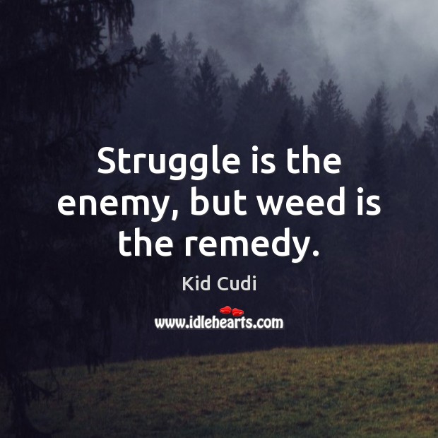 Struggle is the enemy, but weed is the remedy. Kid Cudi Picture Quote