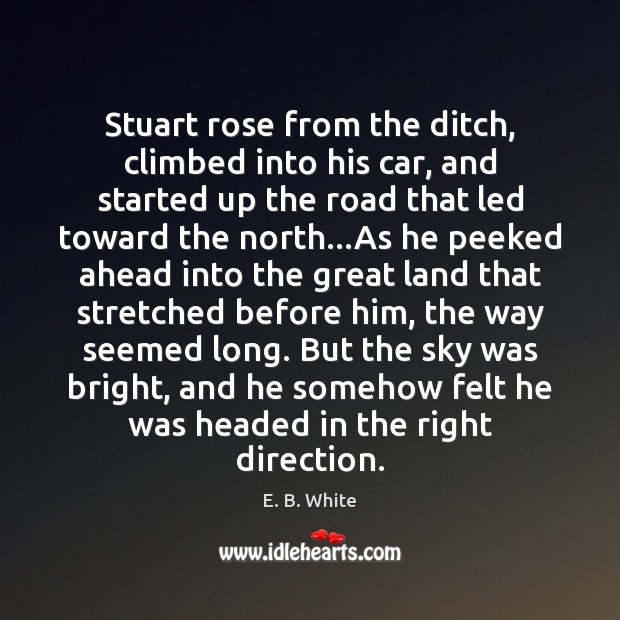 Stuart rose from the ditch, climbed into his car, and started up E. B. White Picture Quote