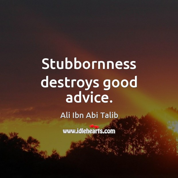 Stubbornness destroys good advice. Ali Ibn Abi Talib Picture Quote