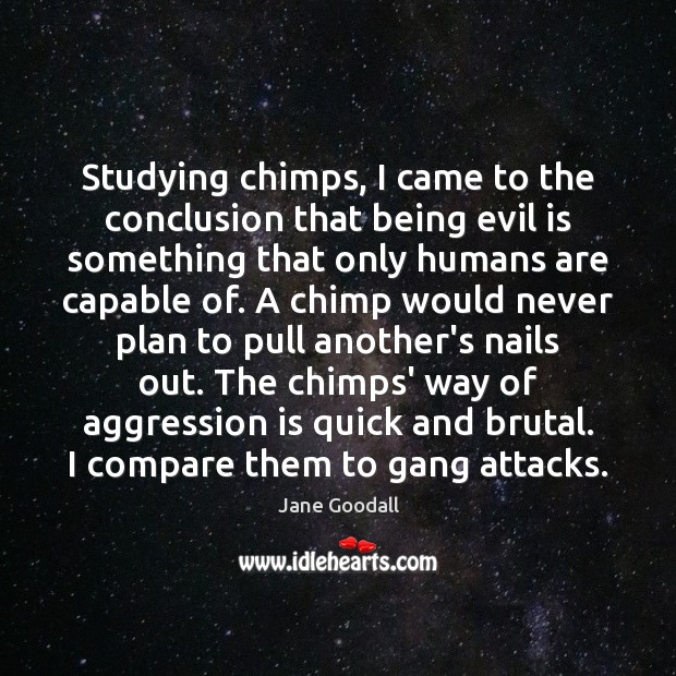Studying chimps, I came to the conclusion that being evil is something Jane Goodall Picture Quote