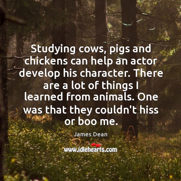 Studying cows, pigs and chickens can help an actor develop his character. James Dean Picture Quote