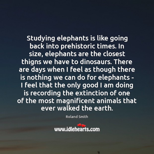 Studying elephants is like going back into prehistoric times. In size, elephants Roland Smith Picture Quote