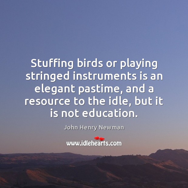 Stuffing birds or playing stringed instruments is an elegant pastime, and a John Henry Newman Picture Quote
