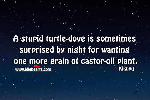 A stupid turtle-dove is sometimes surprised by night for wanting Kikuyu Proverbs Image