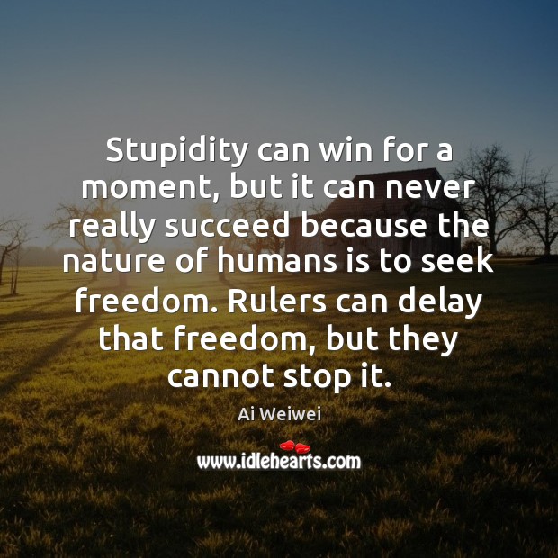 Stupidity can win for a moment, but it can never really succeed Ai Weiwei Picture Quote