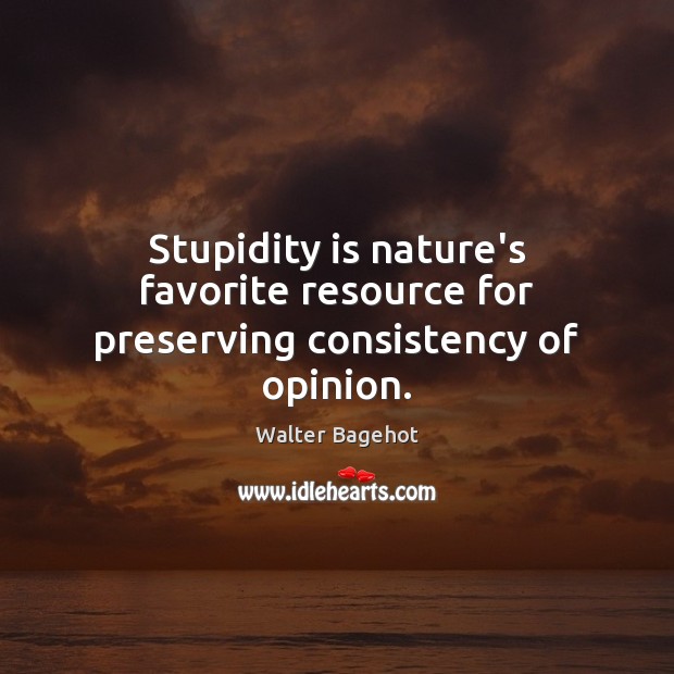 Stupidity is nature’s favorite resource for preserving consistency of opinion. Walter Bagehot Picture Quote