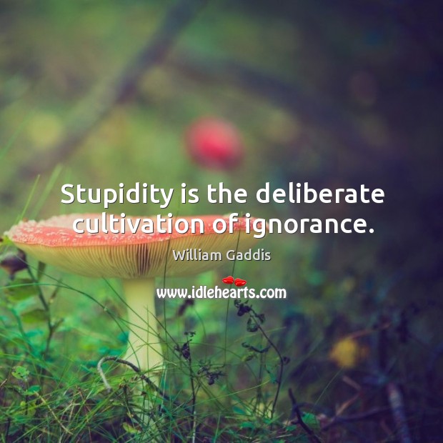 Stupidity is the deliberate cultivation of ignorance. William Gaddis Picture Quote