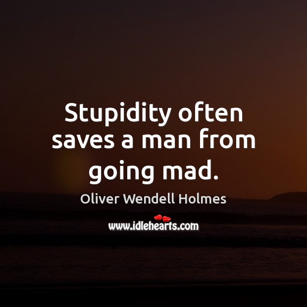 Stupidity often saves a man from going mad. Oliver Wendell Holmes Picture Quote
