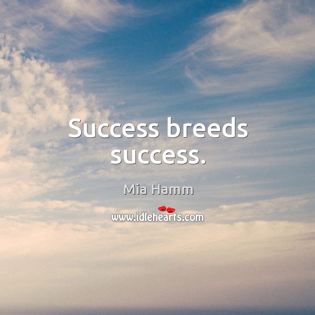 Success breeds success. Mia Hamm Picture Quote