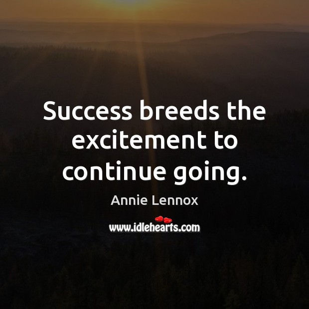 Success breeds the excitement to continue going. Annie Lennox Picture Quote