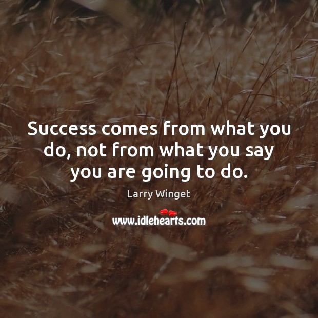 Success comes from what you do, not from what you say you are going to do. Larry Winget Picture Quote
