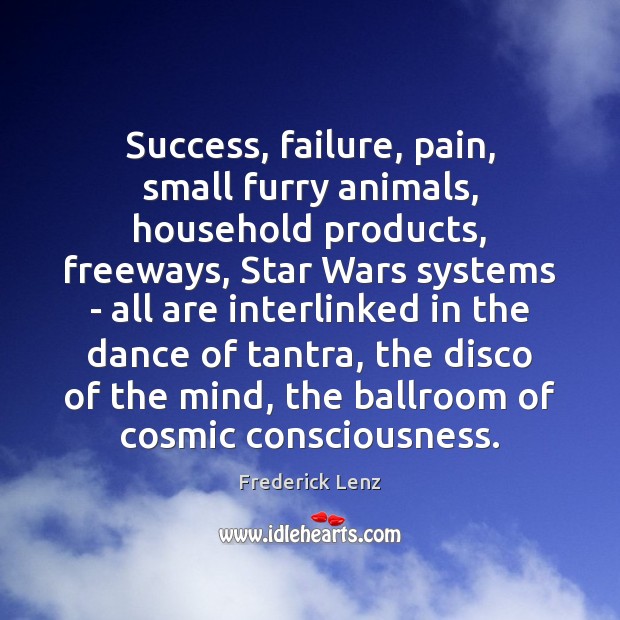 Success, failure, pain, small furry animals, household products, freeways, Star Wars systems 