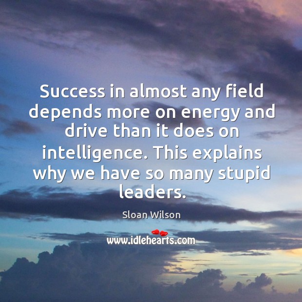 Success in almost any field depends more on energy and drive than it does on intelligence. Sloan Wilson Picture Quote
