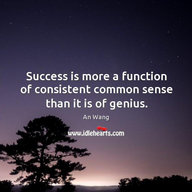 Success is more a function of consistent common sense than it is of genius. An Wang Picture Quote