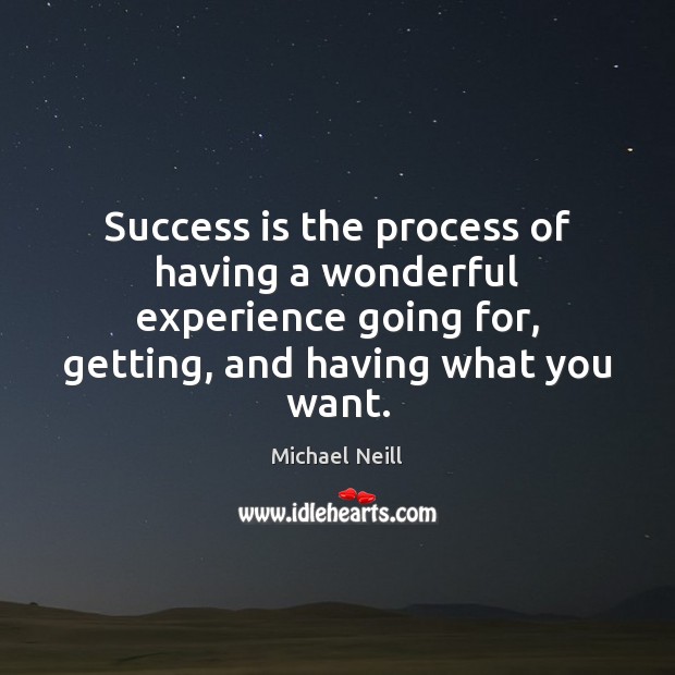 Success is the process of having a wonderful experience going for, getting, Michael Neill Picture Quote