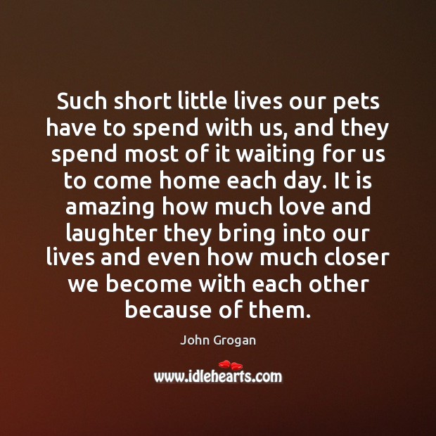 Such short little lives our pets have to spend with us, and John Grogan Picture Quote