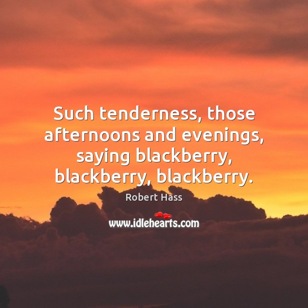 Such tenderness, those afternoons and evenings, saying blackberry, blackberry, blackberry. Image