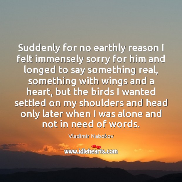 Suddenly for no earthly reason I felt immensely sorry for him and Vladimir Nabokov Picture Quote