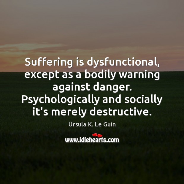 Suffering is dysfunctional, except as a bodily warning against danger. Psychologically and Image