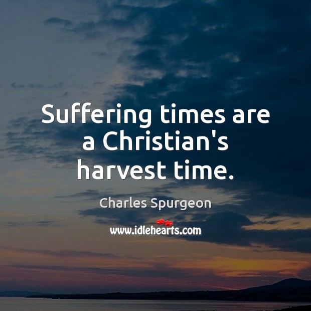 Suffering times are a Christian’s harvest time. Charles Spurgeon Picture Quote