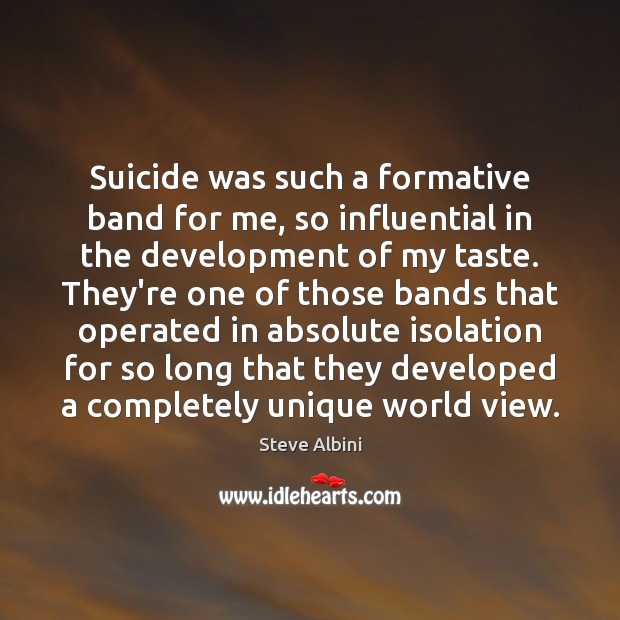Suicide was such a formative band for me, so influential in the Steve Albini Picture Quote