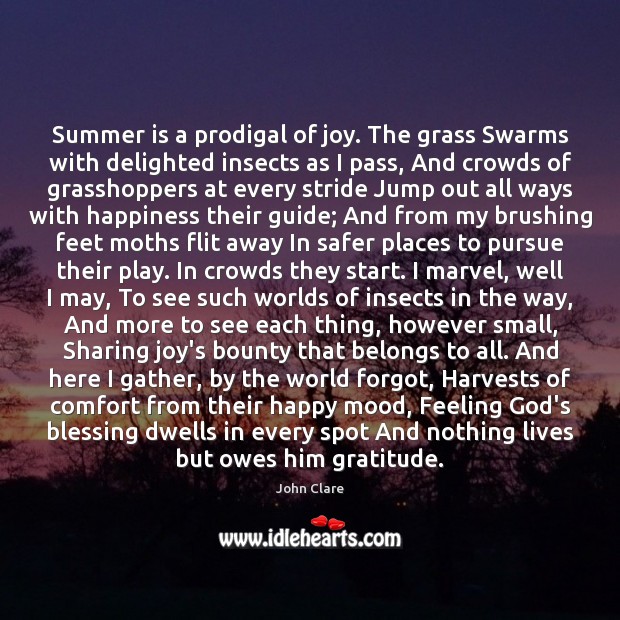 Summer is a prodigal of joy. The grass Swarms with delighted insects Summer Quotes Image