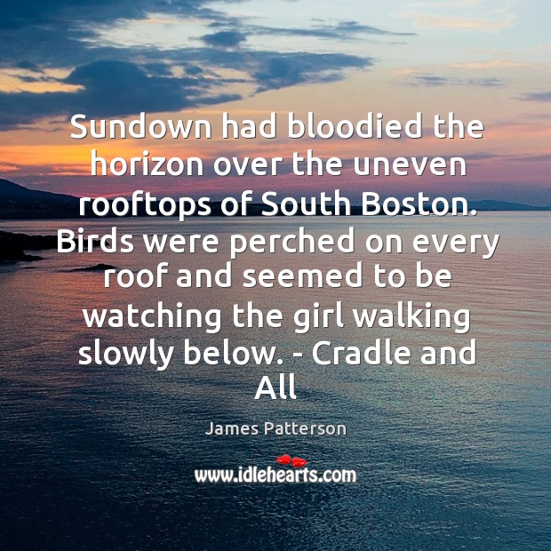 Sundown had bloodied the horizon over the uneven rooftops of South Boston. James Patterson Picture Quote