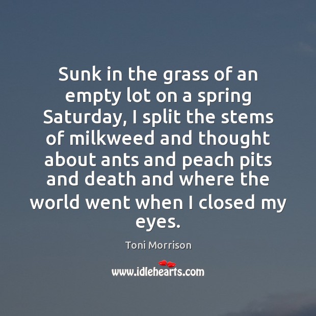 Sunk in the grass of an empty lot on a spring Saturday, Toni Morrison Picture Quote