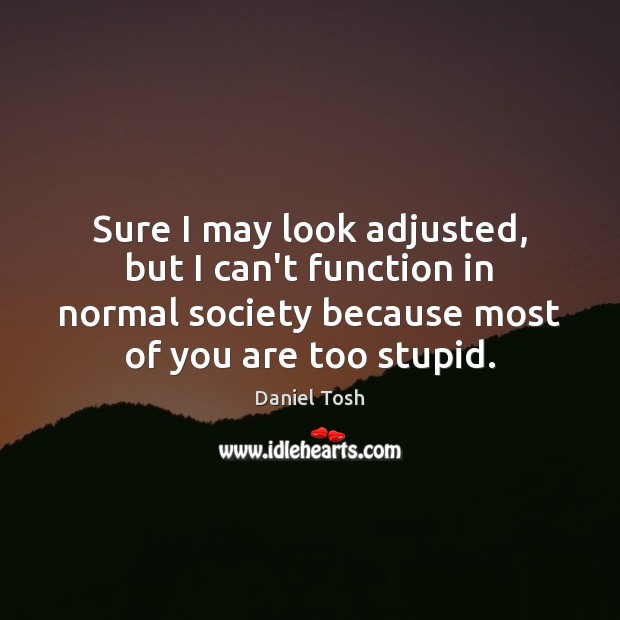 Sure I may look adjusted, but I can’t function in normal society Daniel Tosh Picture Quote