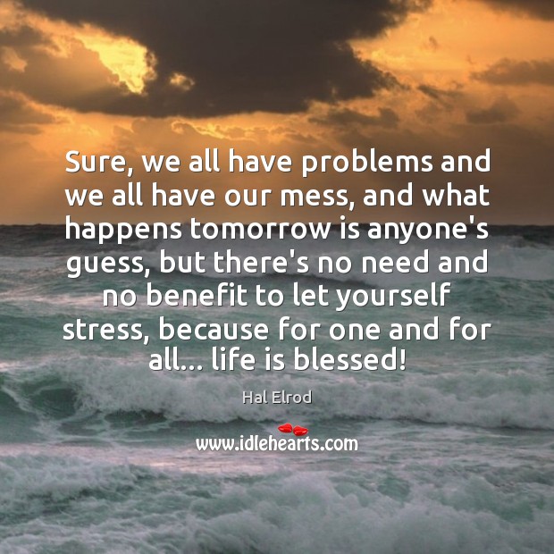 Sure, we all have problems and we all have our mess, and Hal Elrod Picture Quote