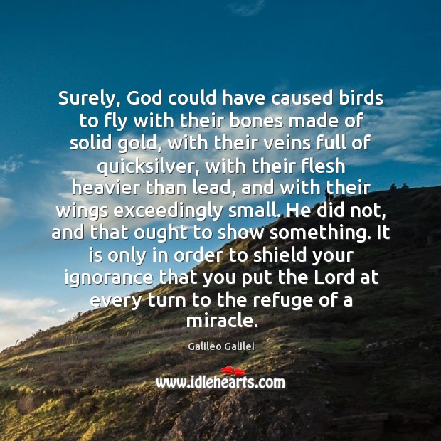Surely, God could have caused birds to fly with their bones made Galileo Galilei Picture Quote