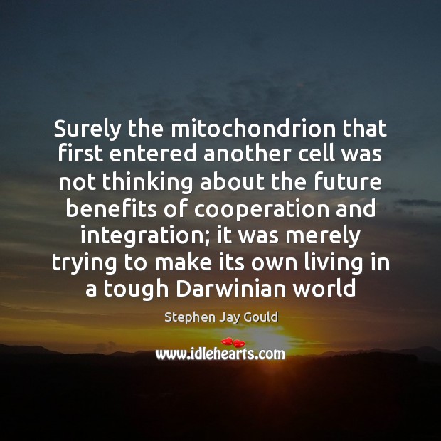 Surely the mitochondrion that first entered another cell was not thinking about Stephen Jay Gould Picture Quote