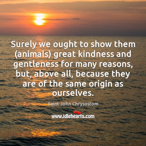 Surely we ought to show them (animals) great kindness and gentleness for Saint John Chrysostom Picture Quote