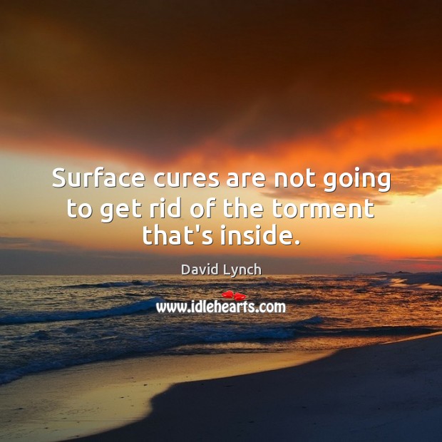 Surface cures are not going to get rid of the torment that’s inside. David Lynch Picture Quote