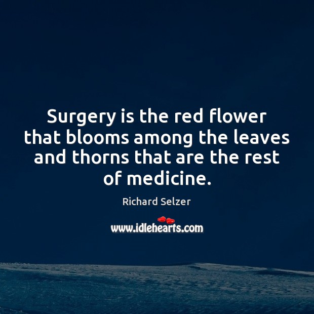 Surgery is the red flower that blooms among the leaves and thorns Richard Selzer Picture Quote