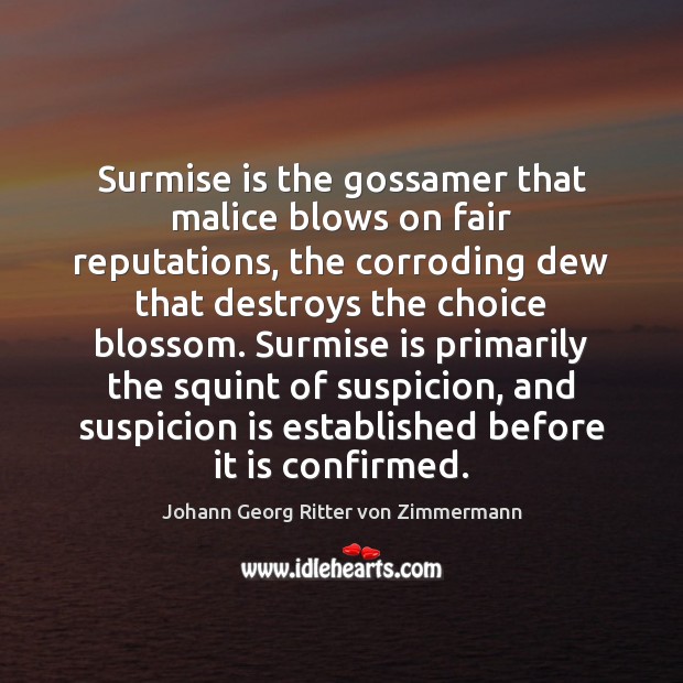 Surmise is the gossamer that malice blows on fair reputations, the corroding Johann Georg Ritter von Zimmermann Picture Quote